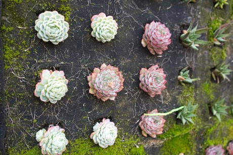 Castellar de la Frontera